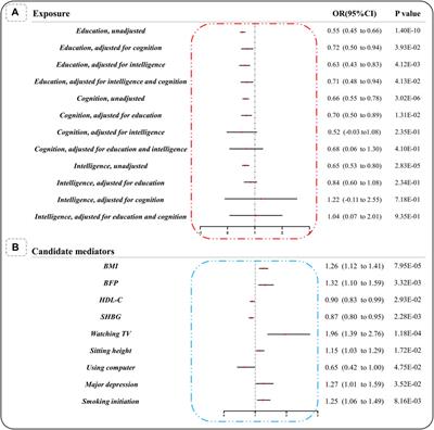 Causal associations of cognition, intelligence, education, health and lifestyle factors with cervical spondylosis: a mendelian randomization study
